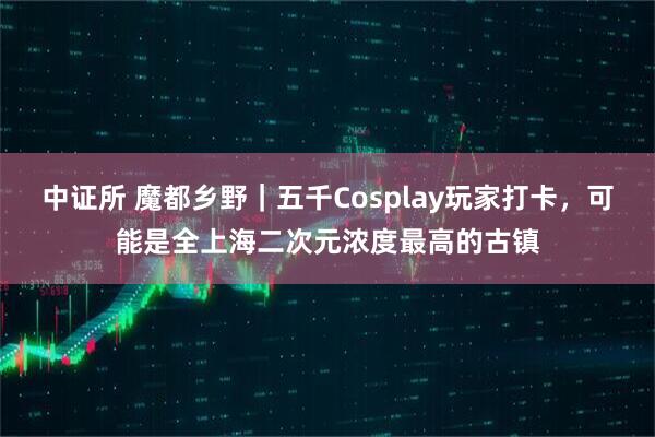 中证所 魔都乡野｜五千Cosplay玩家打卡，可能是全上海二次元浓度最高的古镇